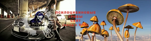 дживик Алзамай