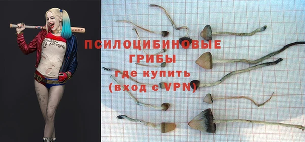 меф Алексин